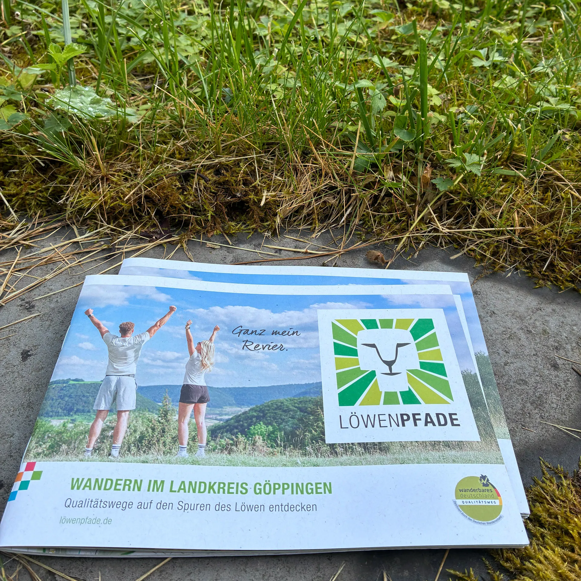 Wanderbroschüre Löwenpfad – Landkreis Göppingen Zwei Personen mit erhobenen Armen auf einer Wiese vor einer Berglandschaft, daneben das Logo des Löwenpfad-Projekts. Die Broschüre liegt auf einem Waldboden mit Gras und Laub. Text auf dem Cover: 'Wandern im Landkreis Göppingen – Qualitätswege auf den Spuren des Löwen entdecken' und 'Ganz mein Revier.